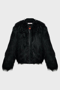DREAM BOMBER